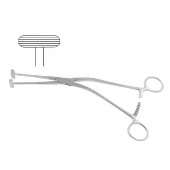 Millin Capsule Forcep Stainless Steel, 24.5 cm - 9 1/2"